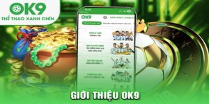 Hướng Dẫn Đăng Ký OK9 – Đơn Giản và Hiệu Quả Dành Cho Người Mới