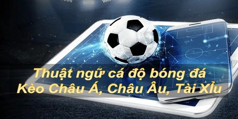 Kèo châu u và danh sách những thuật ngữ quan trọng