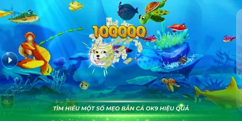 Tìm hiểu một số mẹo bắn cá OK9 hiệu quả nhất hiện nay