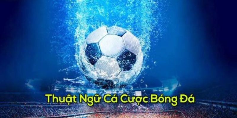 Từ ngữ chuyên dụng cho cá cược kèo châu Á